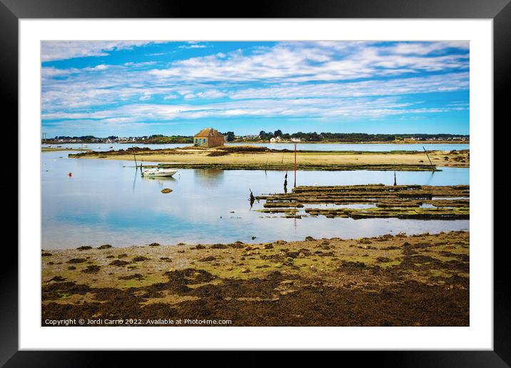 Oyster farming areas in Brittany - C1506-2098-OIL  Framed Mounted Print by Jordi Carrio