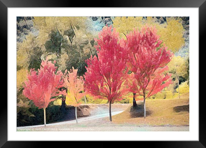 Crimson Maples in Autumn - CR2010-3808-ABS Framed Mounted Print by Jordi Carrio