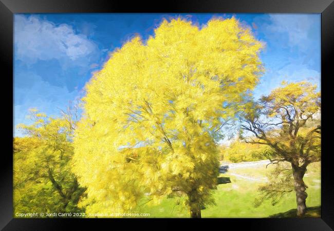 Yellow leaves tree. - Oil painting Edition Framed Print by Jordi Carrio