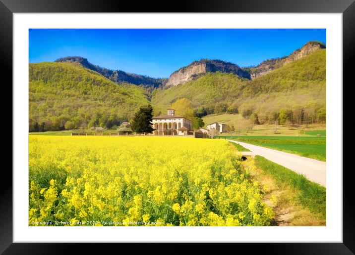 Golden Sea of Canola - CR2304-8848-PIN Framed Mounted Print by Jordi Carrio