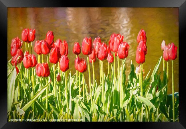 The scarlet splendor of the tulip - CR2305-9183-OI Framed Print by Jordi Carrio