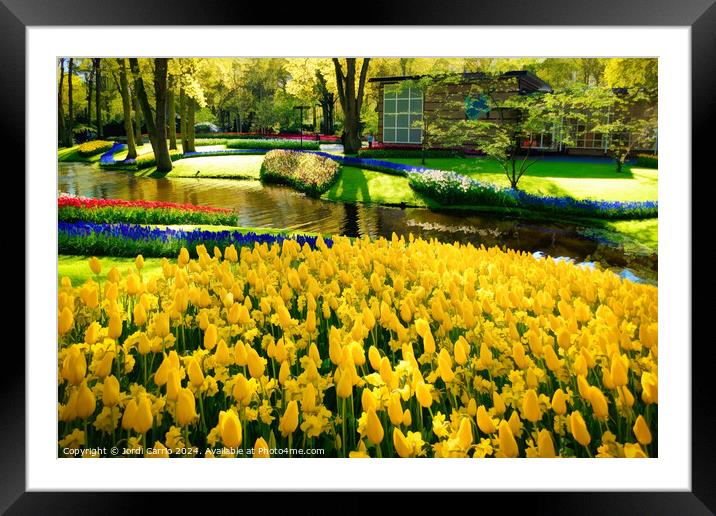 Radiant Flowers - LU2305-1030405-ABS Framed Mounted Print by Jordi Carrio