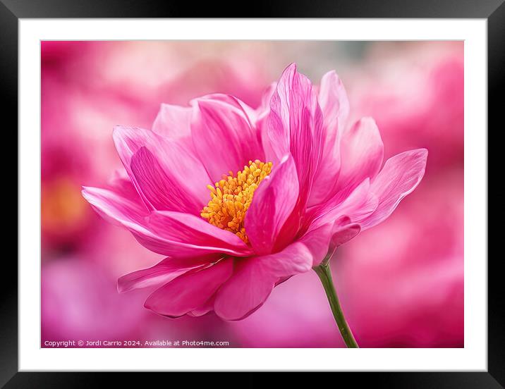 Pink Dream - GIA2401-0124-PIN Framed Mounted Print by Jordi Carrio