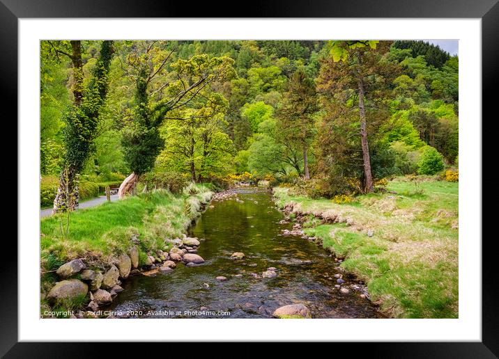 View to Glendalough National Park, Ireland Framed Mounted Print by Jordi Carrio