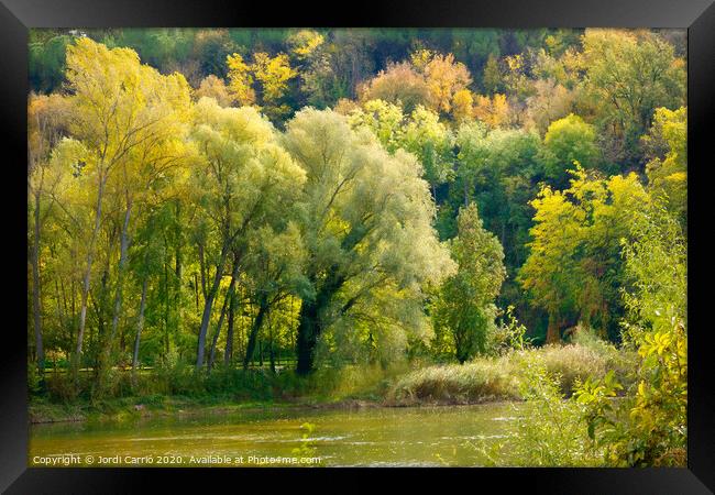 Autumn landscapes in the river Ter. Osona, Catalon Framed Print by Jordi Carrio