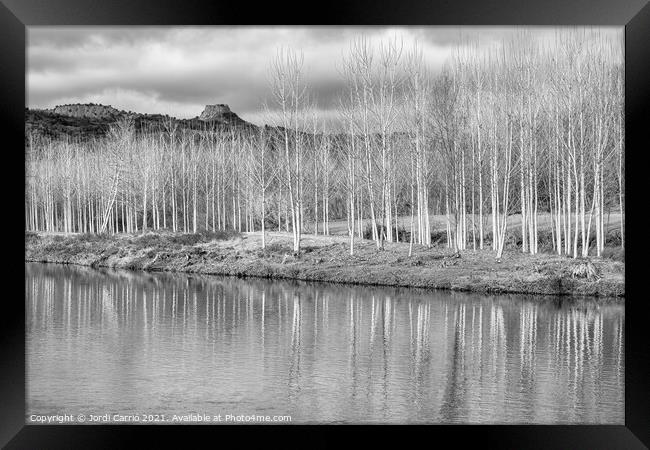 Reflections of the Ter in Torelló - CR2012-4189-BW Framed Print by Jordi Carrio