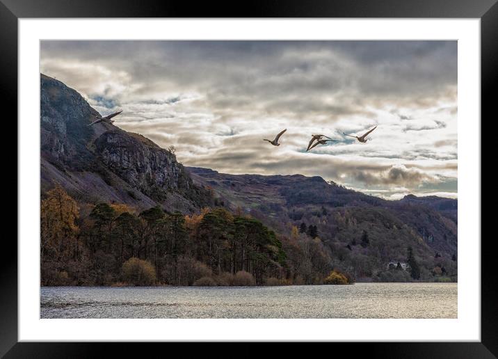 Geese over Derwent Water Framed Mounted Print by Scott Somerside