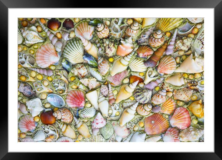 Oceans Treasures Framed Mounted Print by Simon Marlow