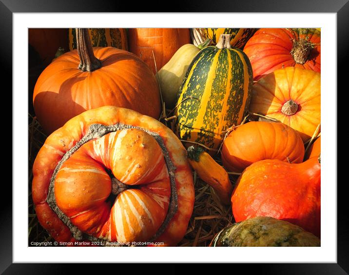 Autumn Squashes and Pumpkins Framed Mounted Print by Simon Marlow