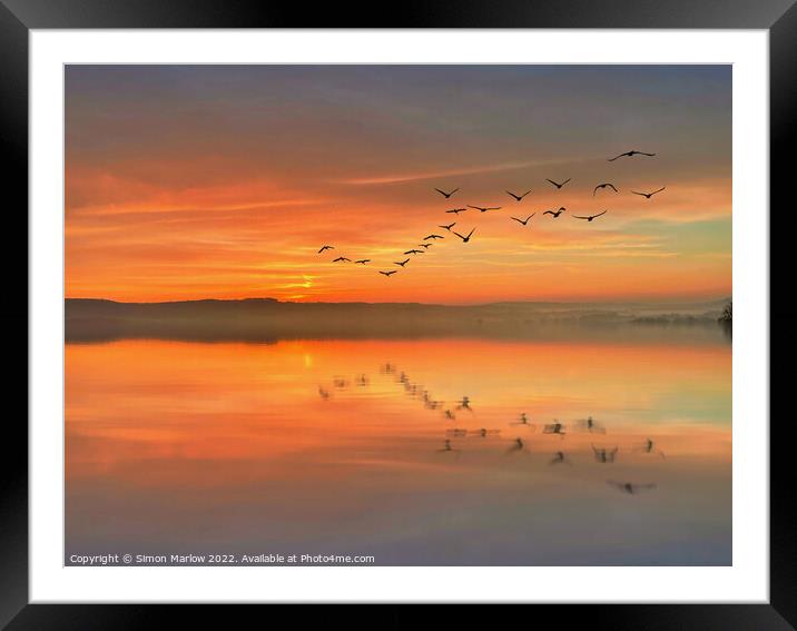 Birds over a lake at sunset Framed Mounted Print by Simon Marlow