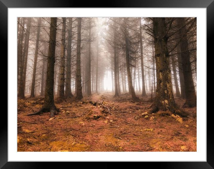 Cold Autumn Forest Scene at Bury Ditches Framed Mounted Print by Simon Marlow