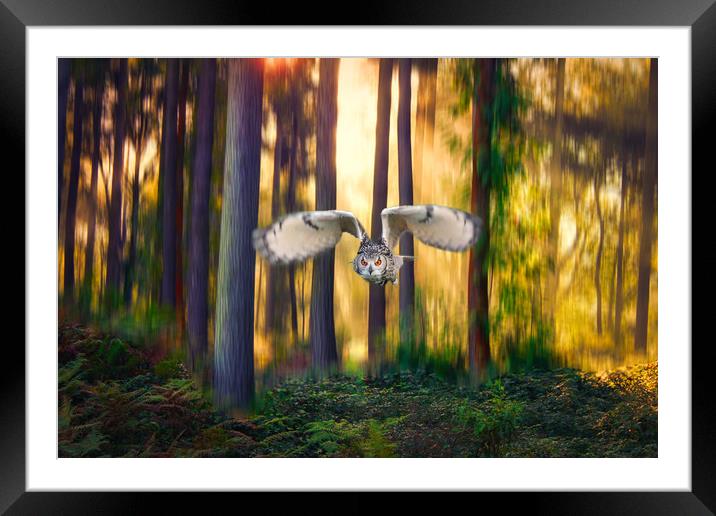 Majestic flight of the European Eagle Owl Framed Mounted Print by Simon Marlow