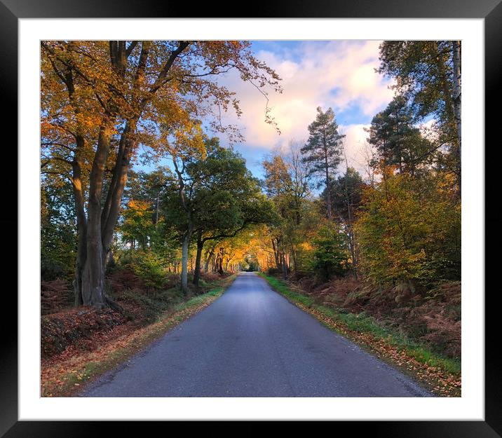 A Serene Countryside Road Framed Mounted Print by Simon Marlow