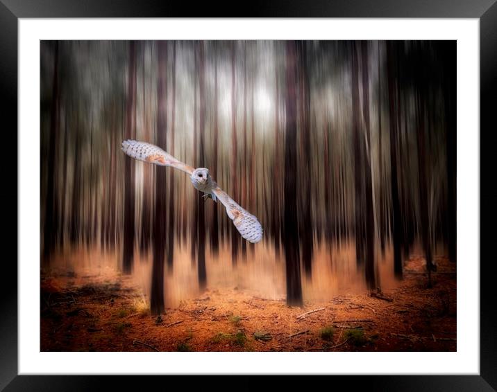 Majestic Barn Owl in the Forest Framed Mounted Print by Simon Marlow