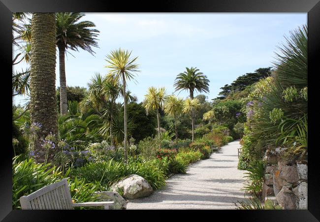 Beautiful Tresco gardens, Isles of Scilly Framed Print by Simon Marlow