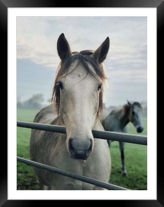 Majestic Stallion at Gateway Framed Mounted Print by Simon Marlow