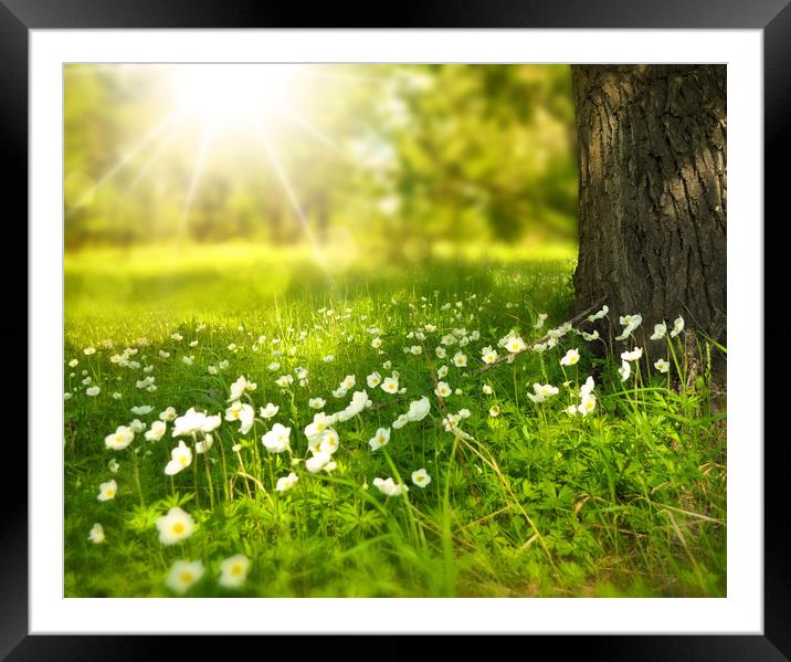 Blissful Spring Meadow Framed Mounted Print by Simon Marlow