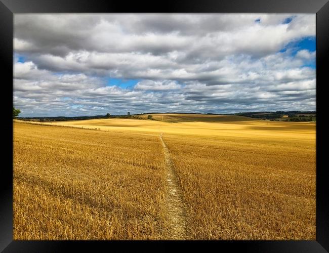 Serenity in South Stoke Framed Print by Simon Marlow