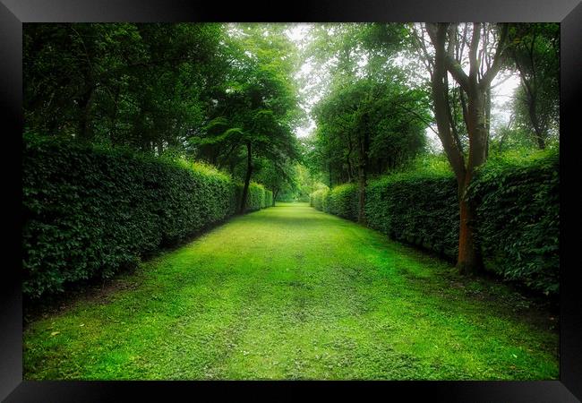 The Enchanting Garden Path Framed Print by Simon Marlow