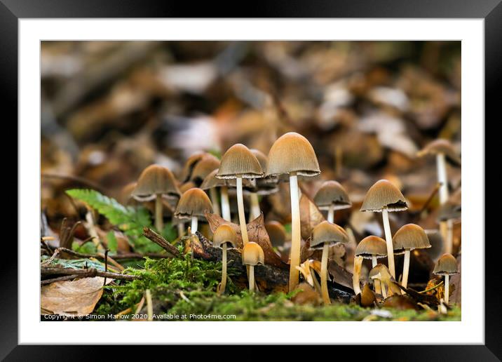 Enchanting Autumn Fungi Framed Mounted Print by Simon Marlow