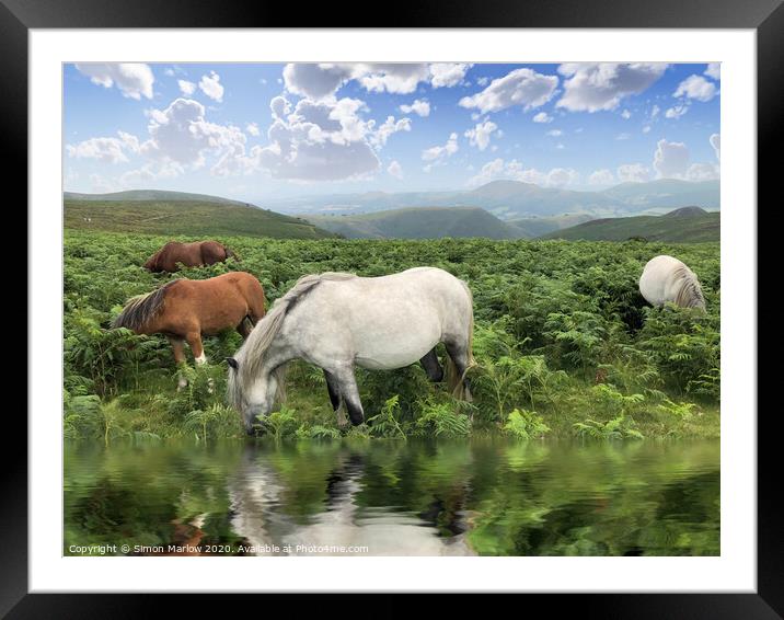 Wild Horses on Long Mynd Shropshire Framed Mounted Print by Simon Marlow