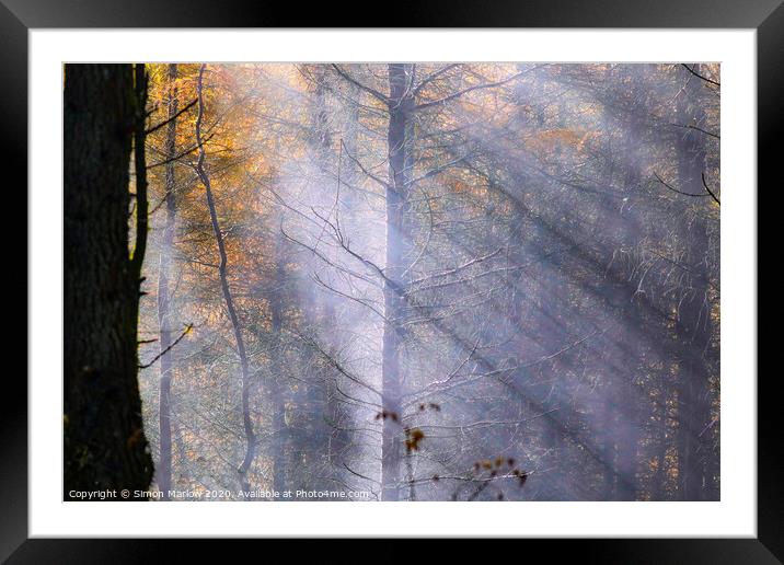 Rays of sunlight through autumn trees Framed Mounted Print by Simon Marlow
