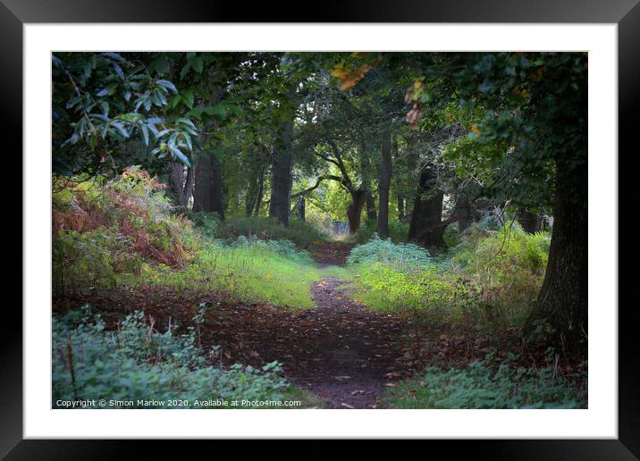 Autumn in the forest Framed Mounted Print by Simon Marlow
