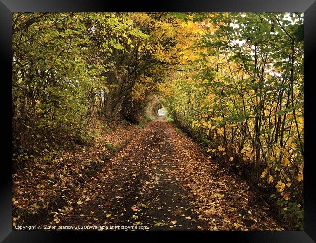 A walk under natures canopy in Shropshire Framed Print by Simon Marlow