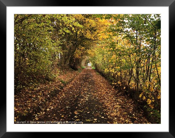 A walk under natures canopy in Shropshire Framed Mounted Print by Simon Marlow