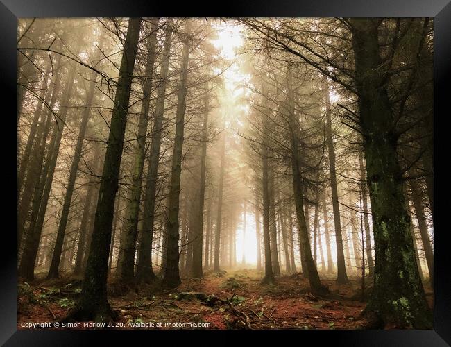 Cold forest morning at Bury Ditches Framed Print by Simon Marlow