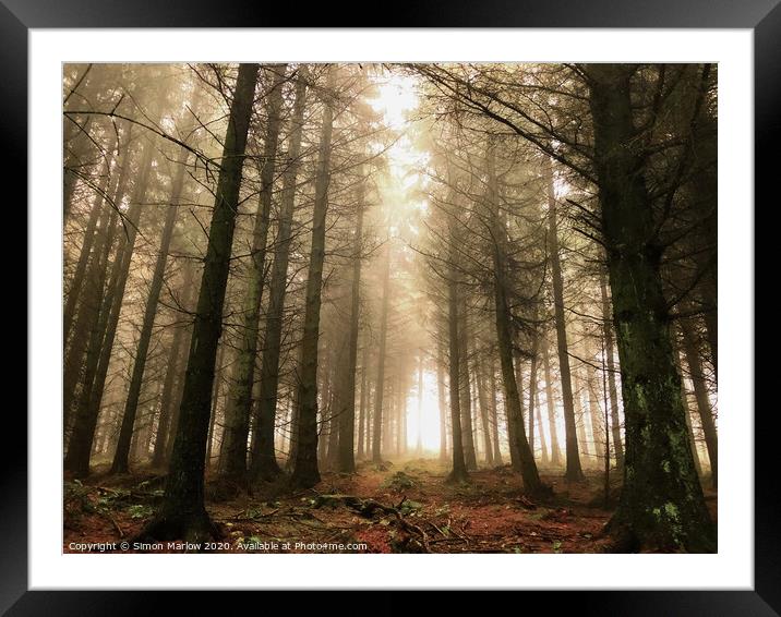 Cold forest morning at Bury Ditches Framed Mounted Print by Simon Marlow