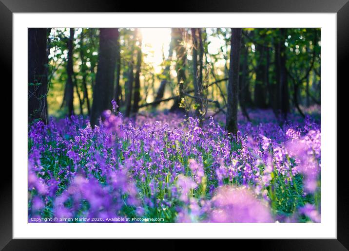 Enchanting Bluebell Woods at Twilight Framed Mounted Print by Simon Marlow