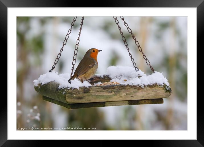 Robin on a snow covered feed tray Framed Mounted Print by Simon Marlow