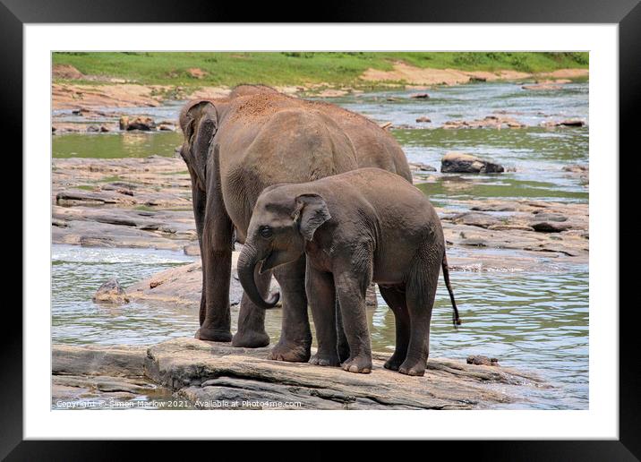 A baby elephant standing next to a body of water Framed Mounted Print by Simon Marlow