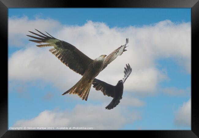 Aerial Battle Red Kite vs Crow Framed Print by Simon Marlow