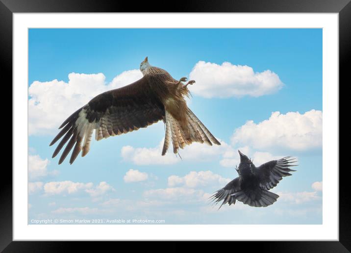 Aerial Battle Red Kite vs Crow Framed Mounted Print by Simon Marlow