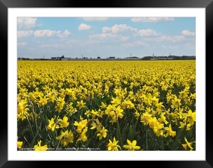 Colourful Symphony Framed Mounted Print by Simon Marlow