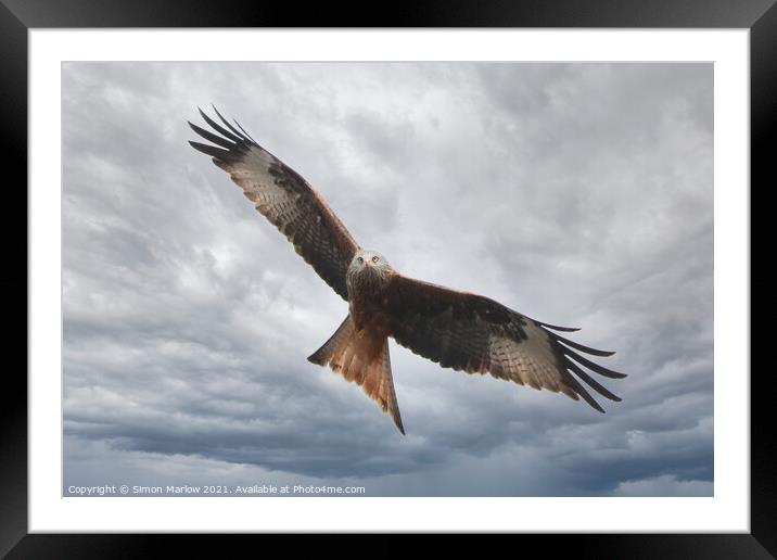 Majestic Red Kite Soaring Through Shropshire Skies Framed Mounted Print by Simon Marlow