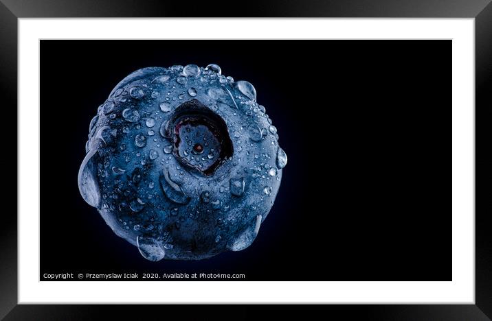 Macro shoot of blueberry against black background Framed Mounted Print by Przemek Iciak