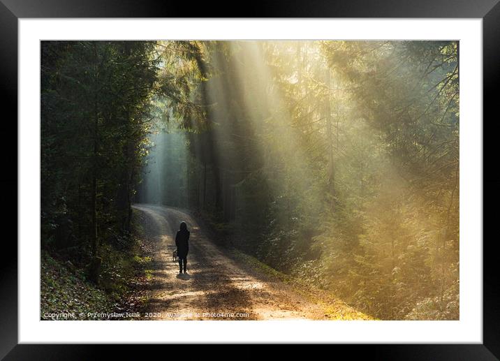 Woman in sun rays walking with dog Framed Mounted Print by Przemek Iciak