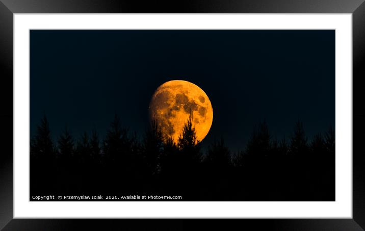 Orange moon on night sky with trees in foreground. Framed Mounted Print by Przemek Iciak