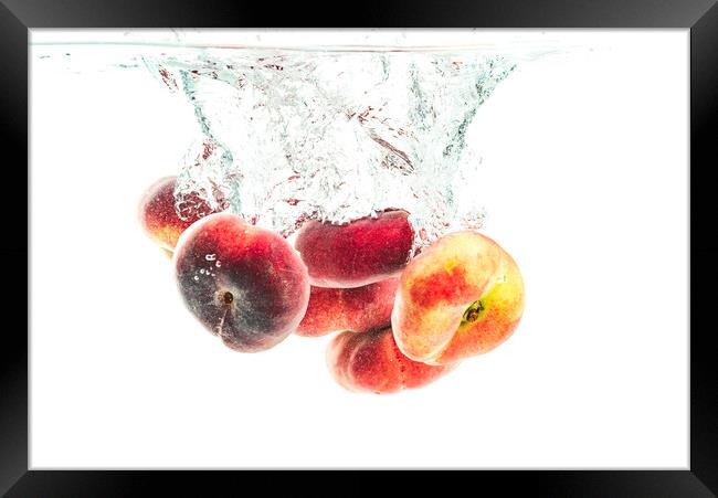 Bunch of doughnut peaches isolated on white, splashing into water. Framed Print by Przemek Iciak