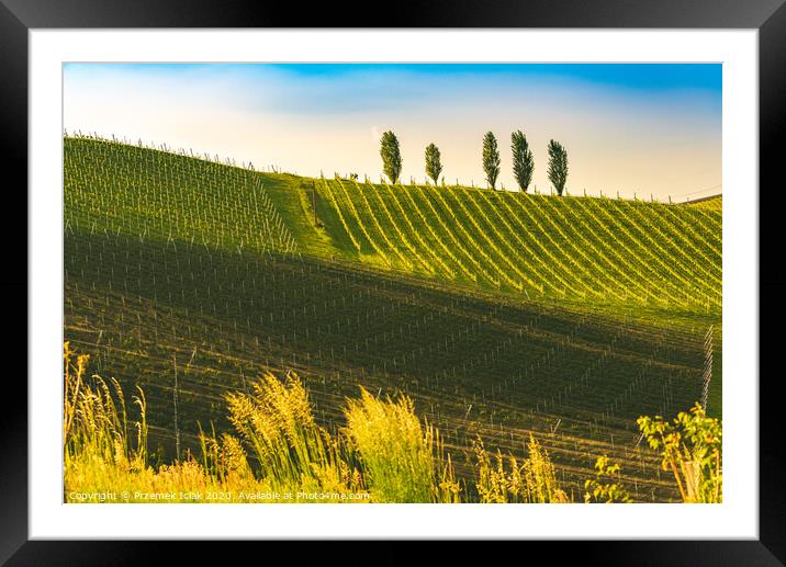 A Beautiful Sunset over a Styrian Vineyard in Austria Framed Mounted Print by Przemek Iciak