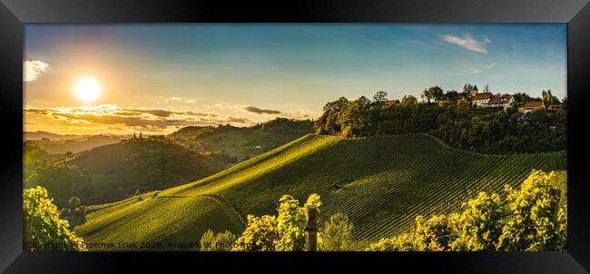 Sunset panorama of wine street on Slovenia, Austria border in Styria. Fields of grapevines. Framed Print by Przemek Iciak