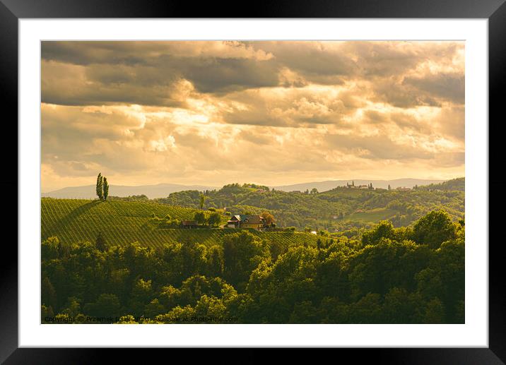 Gamlitz town in Austria Vineyards in Sulztal area south Styria, famous wine country. Framed Mounted Print by Przemek Iciak