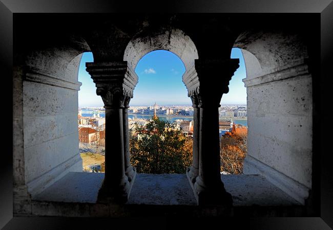 Budapest view from Castle window Framed Print by federico stevanin