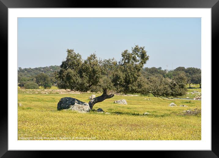Alentejo landscape with olive tree and yellow flowers in Portugal Framed Mounted Print by Luis Pina