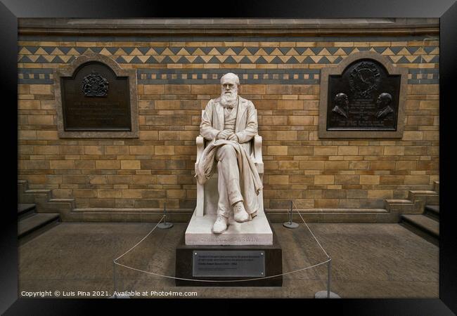 Charles Darwin statue in Natural history museum in London, England Framed Print by Luis Pina