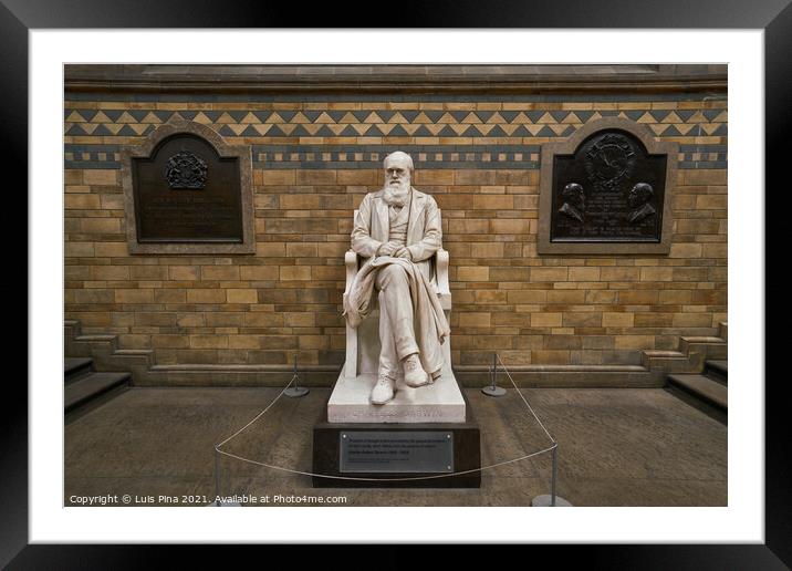 Charles Darwin statue in Natural history museum in London, England Framed Mounted Print by Luis Pina