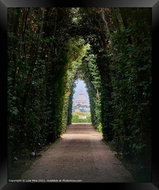 View of the Vatican Basilica through a tree path in Rome, Italy Framed Print by Luis Pina